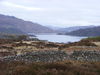 Oronsay Island, Loch Sunart