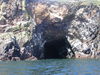 Caves north of Cove Bay