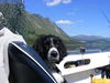 Bonnie hijacks the skipper's seat