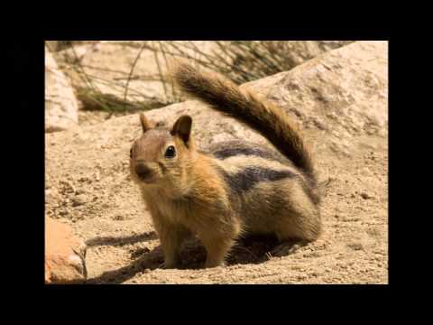 Hiking the High Sierra Trail and Death Valley