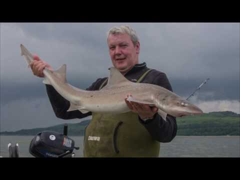 Showcasing Sea Angling in Scotland