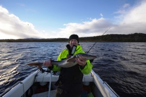 A double figure spurdog from Loch Etive