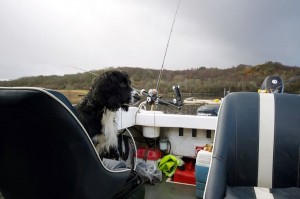 Bonnie-supervises-the-fishing-at-Ardchattan