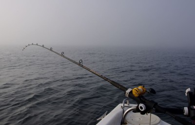 Thick mist or haar off Dunbar