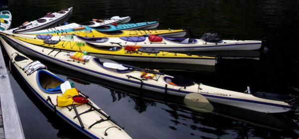 Our fleet of sea kayaks awaits