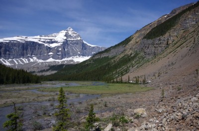 An area of bare rock and scree, close to Berg Lake