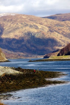 Shore anglers near Leven Narrows