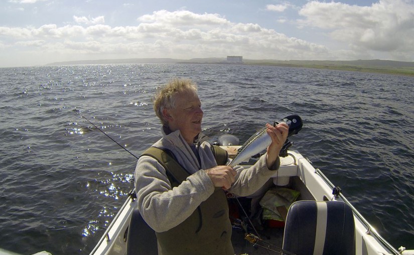 A nice Dunbar mackerel