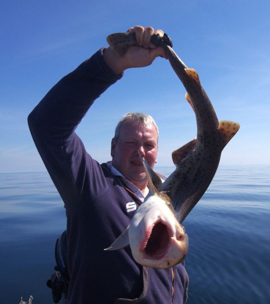 Ian with a lively Bull Huss