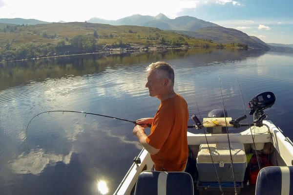 Codling on a spinning rod, Loch Etive