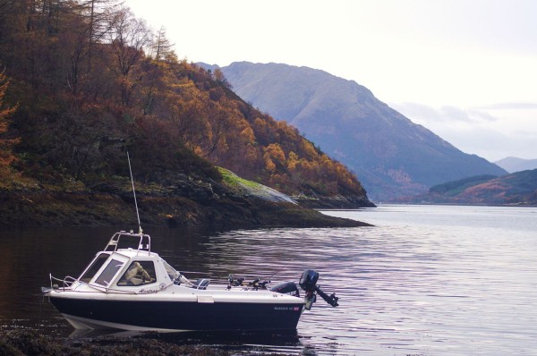 Popping ashore for a bag of mussels