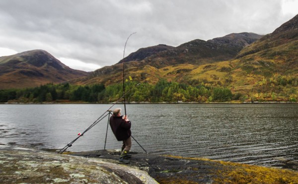 Fish on! A thornback near Callert, Loch Leven