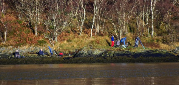 Leven attracts good numbers of shore fishermen