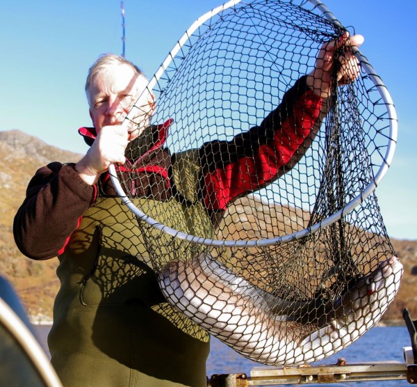 Laga Bay conger