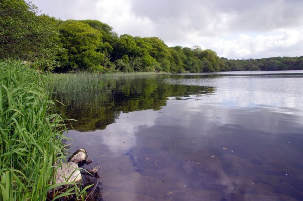 Our local pike loch