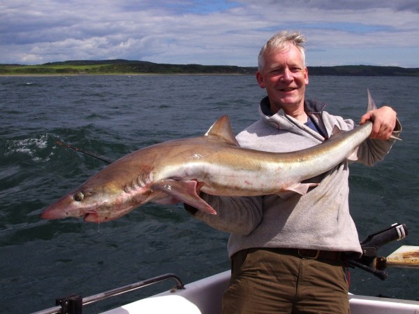 Happy angler, rather disgruntled tope