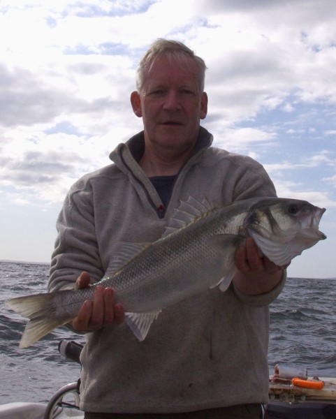 A nice bass, caught on whole mackerel bait intended for tope - complete with wire trace