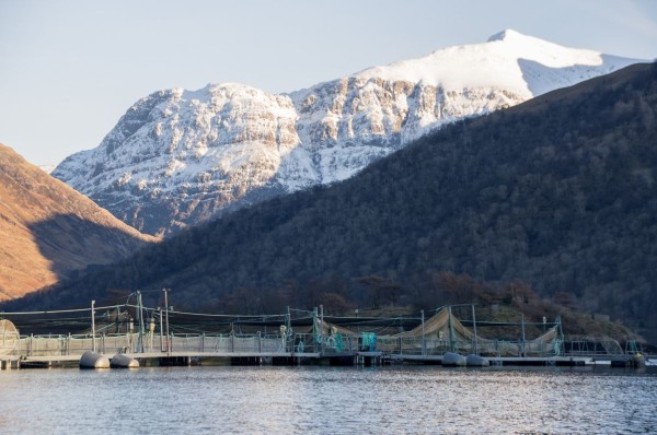 Salmon cages overshadowed by Glencoe