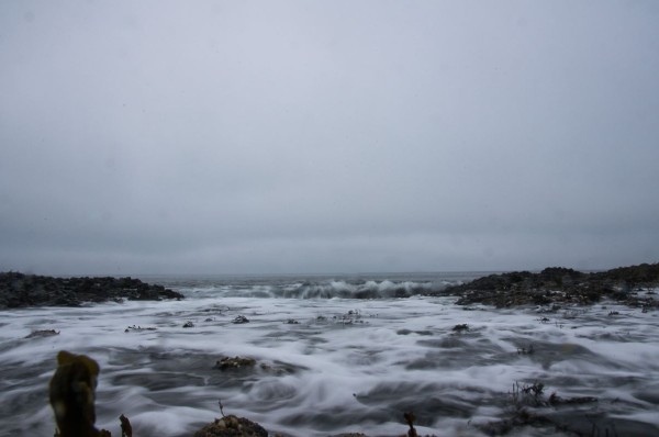 Small Atlantic Swell, Ardmeanach Wilderness