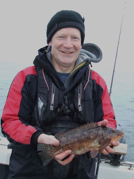 Early season wrasse from the east coast at St Andrews