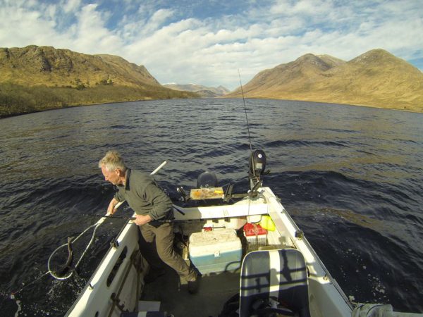 Netting a modest spurdog from Etive