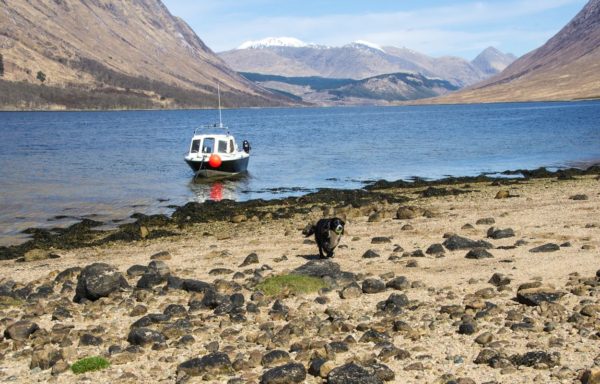 Bonnie is glad to be ashore and off the boat