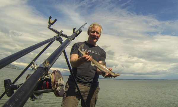 A small shore caught smoothhound