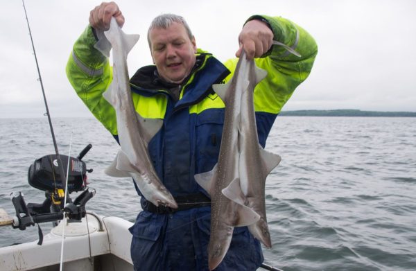 Ian landing no less than 3 hounds in one cast