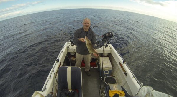 A nice codling from Dunbar