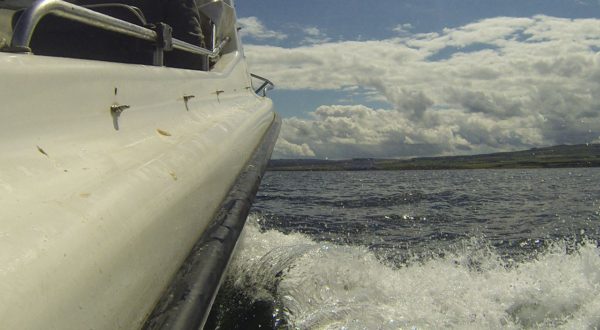 Alcatraz on a sparkling North Sea, off Dunbar