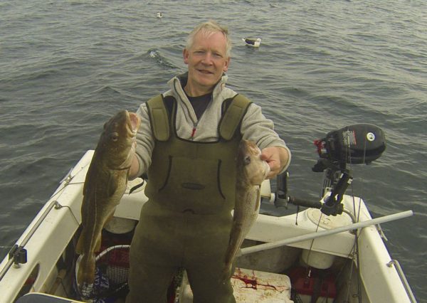 A brace of codling from Dunbar, summer 2016