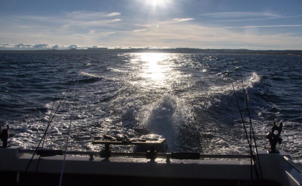 Freezing, thick fog gives way to bright November sunshine on the seas off St Andrews