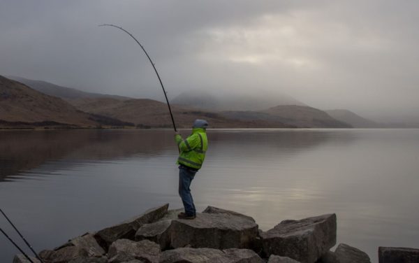 Trevor bends into another spurdog on a calm, grey morning