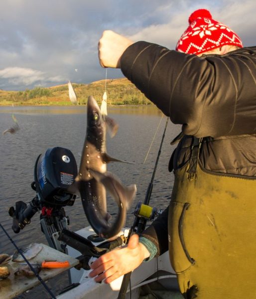 Ian with a small Etive spurdog from Ardchattan