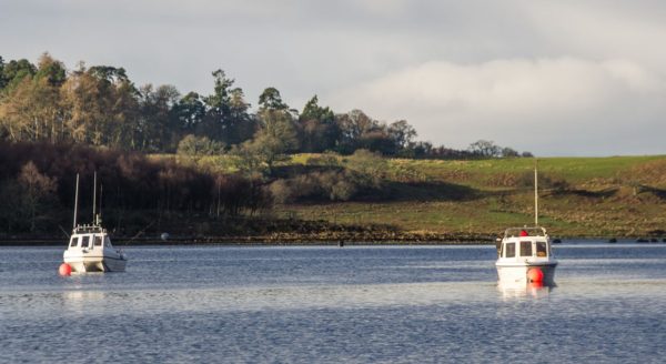 Etive gets crowded with boats as Ayr Sea Angling Club hold a competition