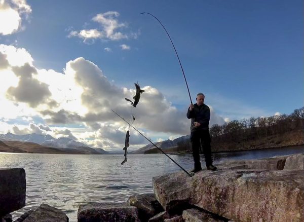 Two at a time, as a spurdog and a spottie dogfish are lifted ashore