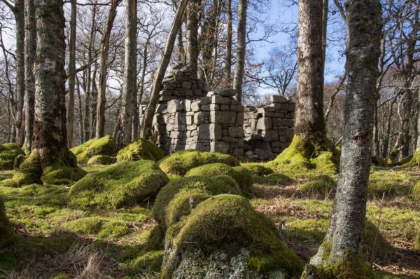 The shell of an old Quarryman's hut surrounded by moss covered boulders and trees near the shore of Loch Etive