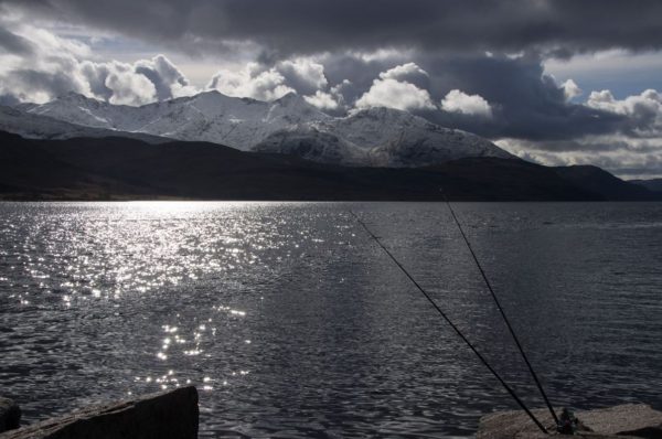 The sun, snow and light bouncing off the water make this image look almost monochrome