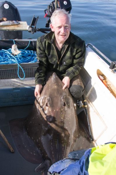 A small common skate from Kerrera, near Oban