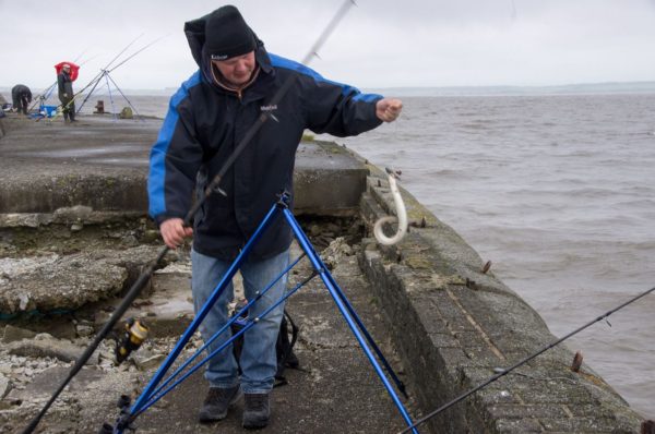 Lucky Ian - another eel, one of several he caught