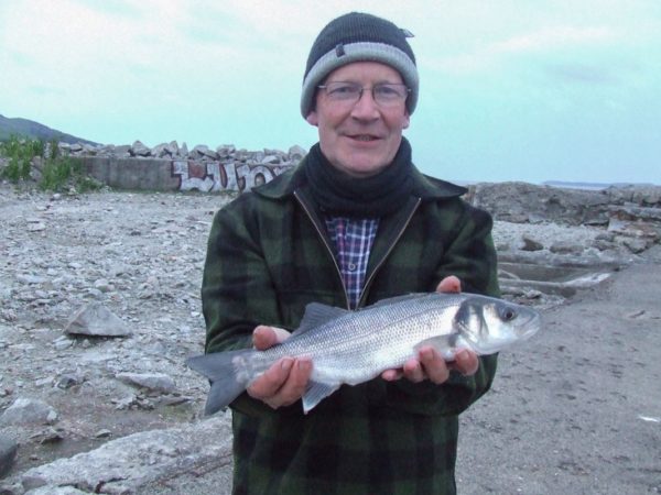 A small bass from Carsluith on the Cree Estuary