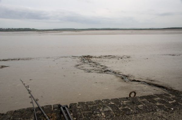 Fishing over mud to reach the estuary as we wait for the tide to rise.