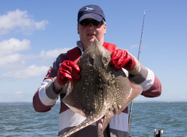 Ian holds a very spiny thornback ray which was armed front and back with big hook-like spikes