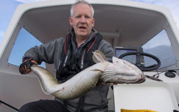 A fine 12lb ling from Dunbar, off an inshore wreck