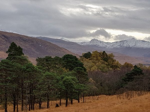 Campsite in sight. A beautiful location to spend the night