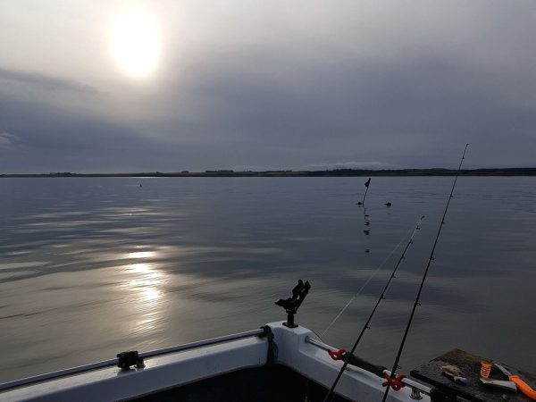 A very calm North Sea, not quite what you expect in November