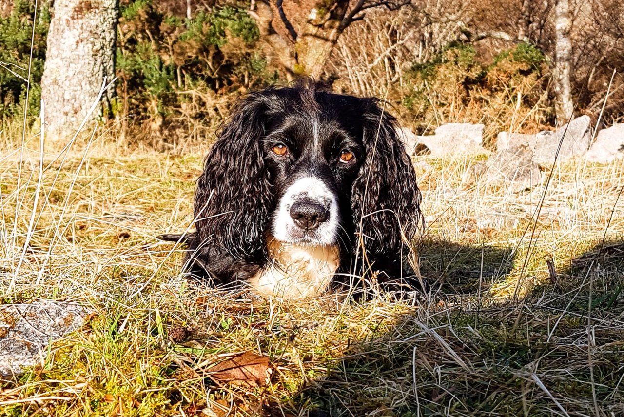 Bonnie is quite indifferent to fishing