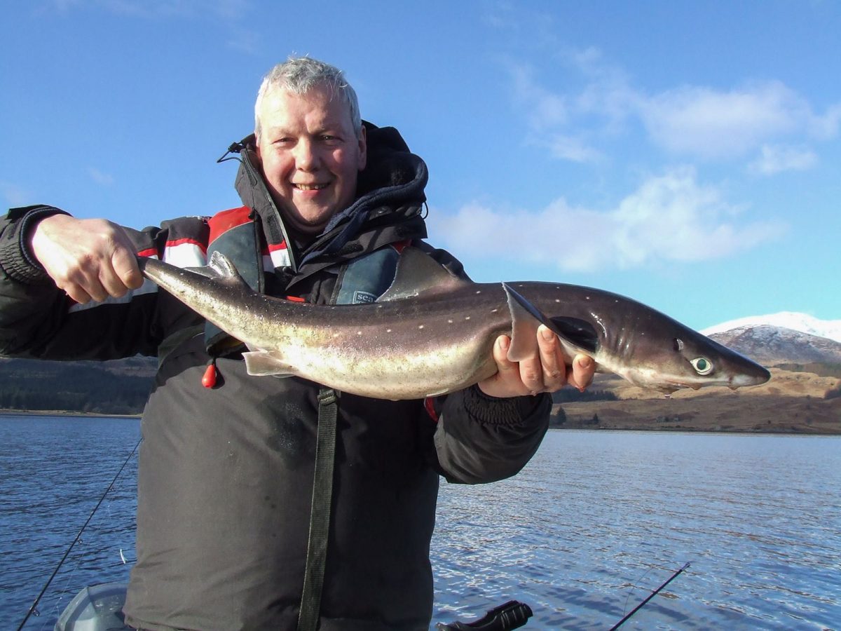 First decent fish of the day - a near double figure spurdog for Ian