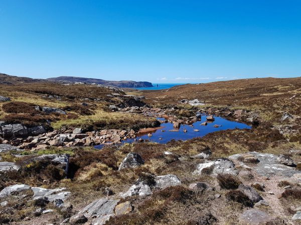 No trees allowed - just heather, rock and water in this very exposed environment