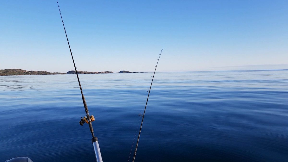 Drifting through the Sound of Iona on a perfectly calm blue sea, as the sun sets over Iona